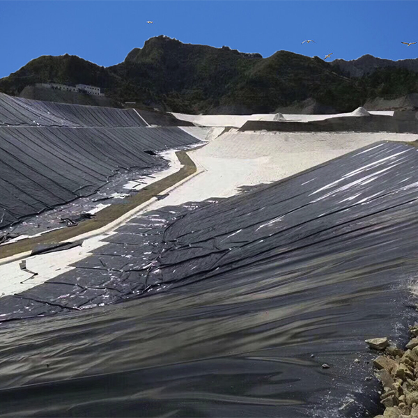 
助力大藤峡一期上游土石围堰填筑